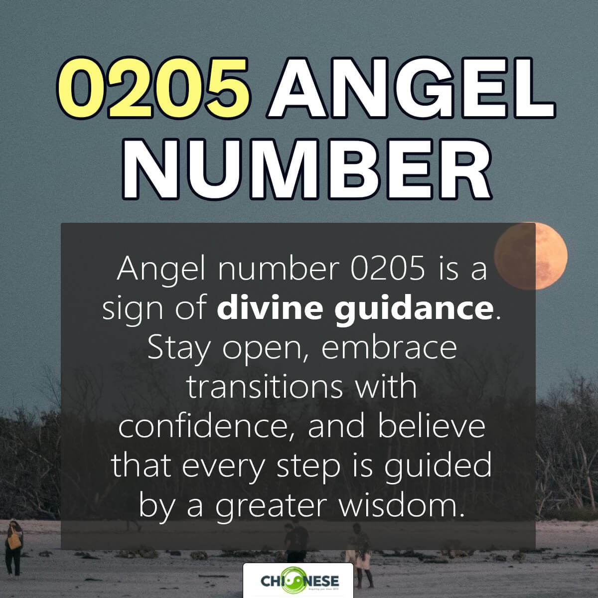 Angel Number 0205 Finding Harmony In Life S Hidden Patterns