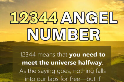 12344 meaning