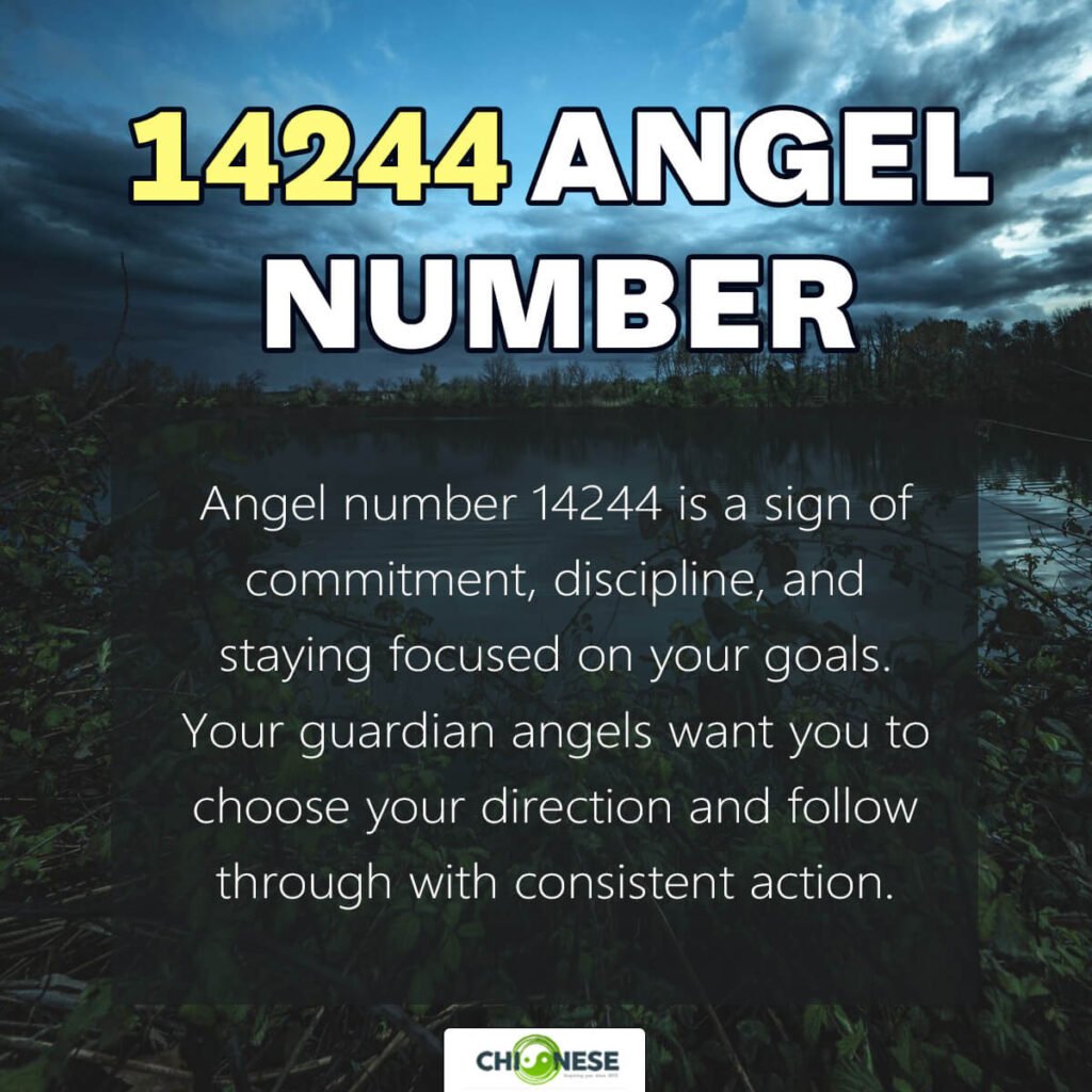 14244 angel number