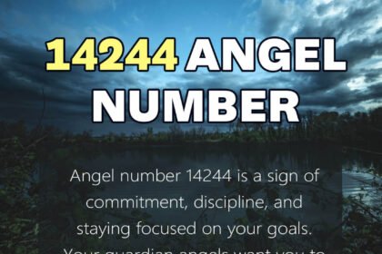 14244 angel number