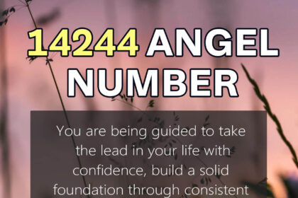 14244 meaning