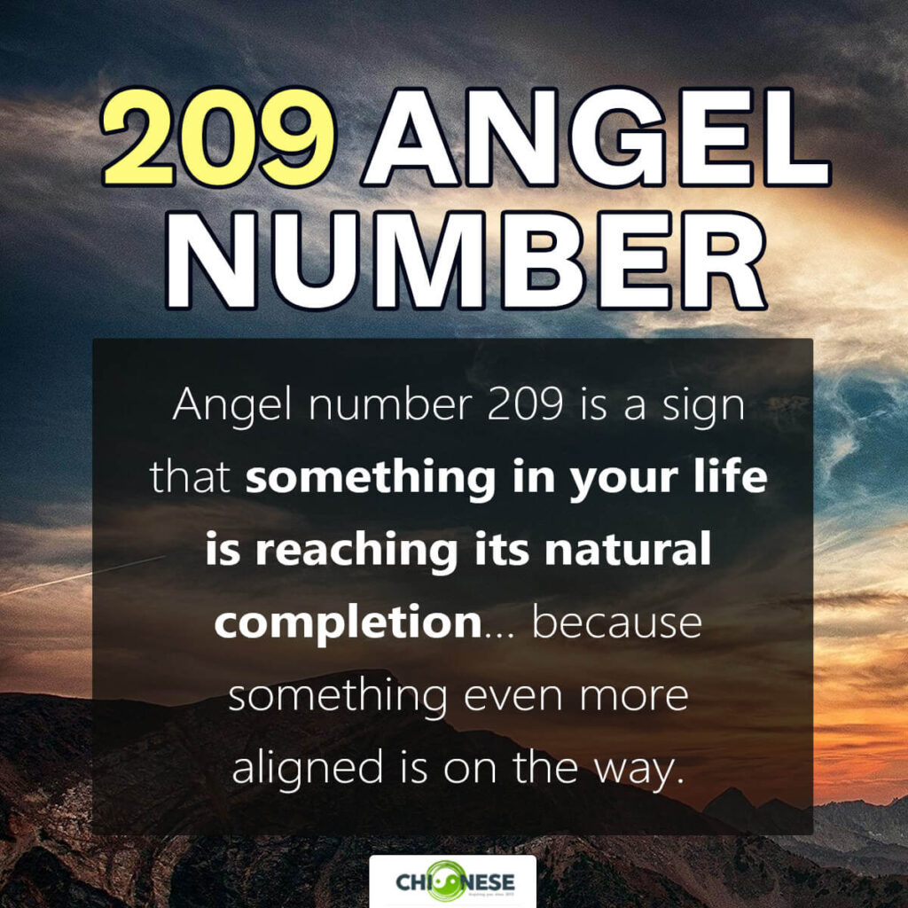 209 angel number