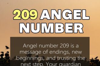 209 angel number