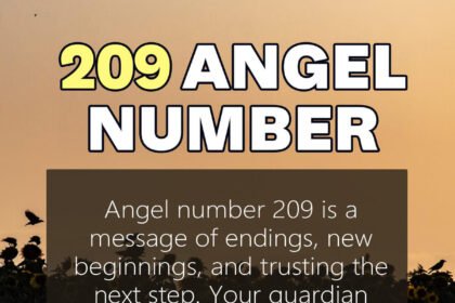 209 angel number