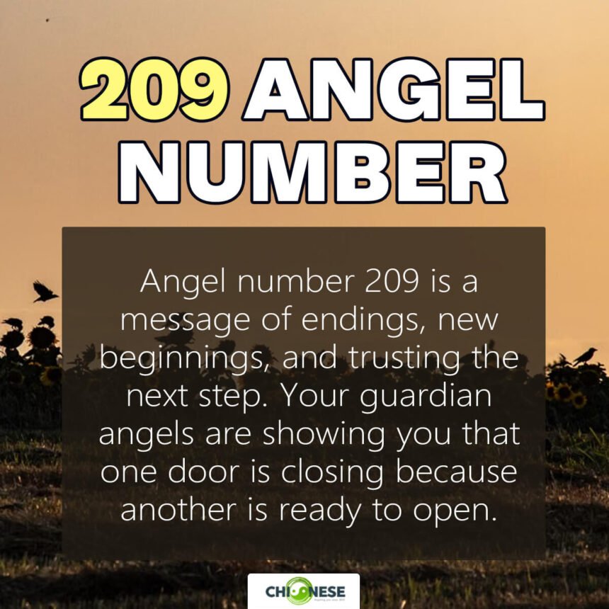 209 angel number