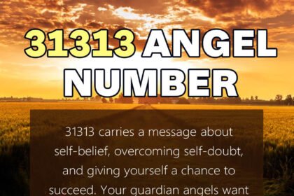 31313 angel number