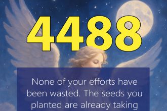 4488 angel number