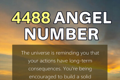 4488 angel number