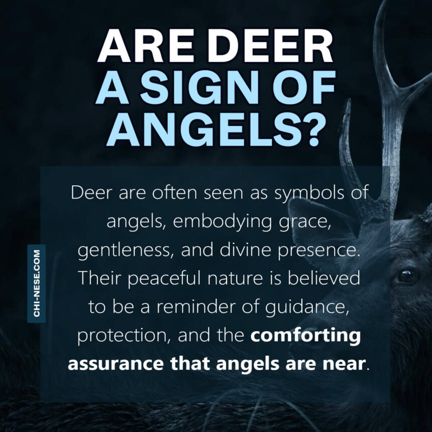 are deer a sign of angels