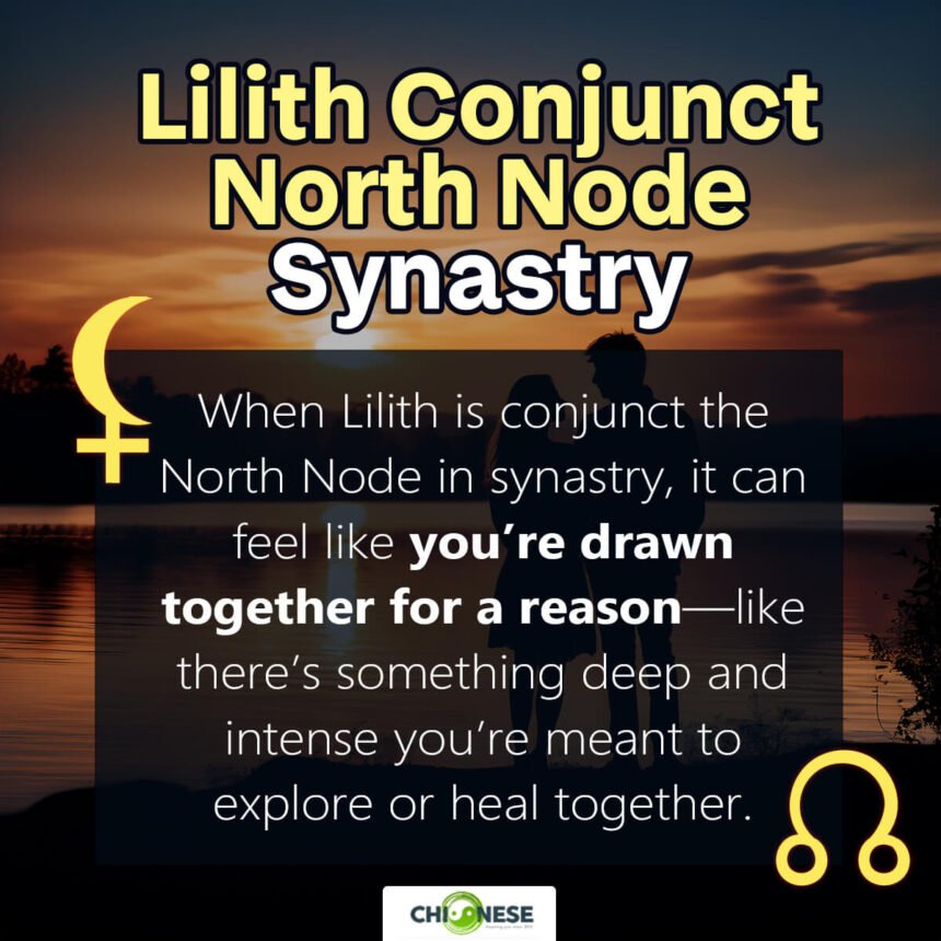 lilith conjunct north node synastry