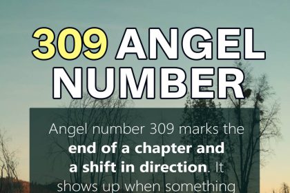 309 angel number