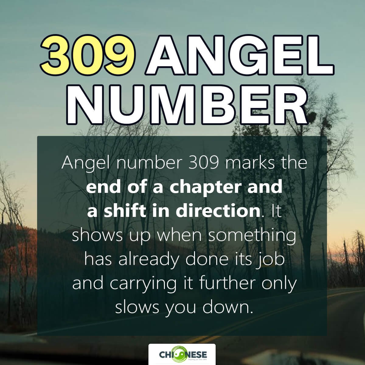 Angel Number 309: Something Has Run Its Course