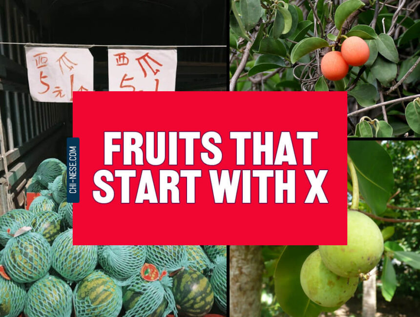 fruits that start with x