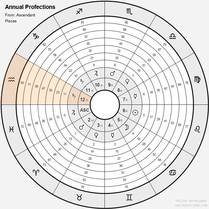 12th house profection year