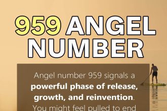 959 angel number