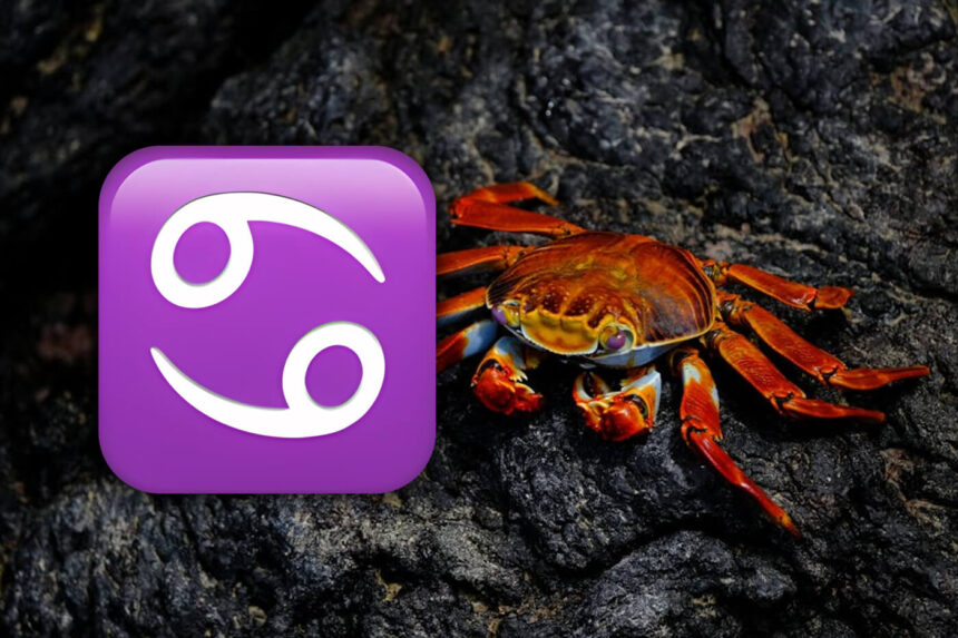 Cancer zodiac sign 69