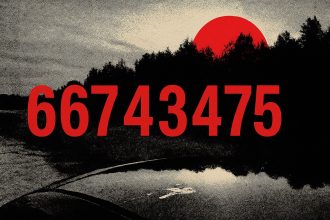 66743475