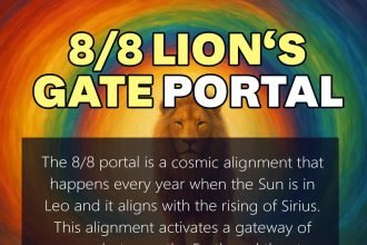 lionsgate portal