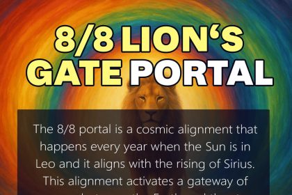 lionsgate portal