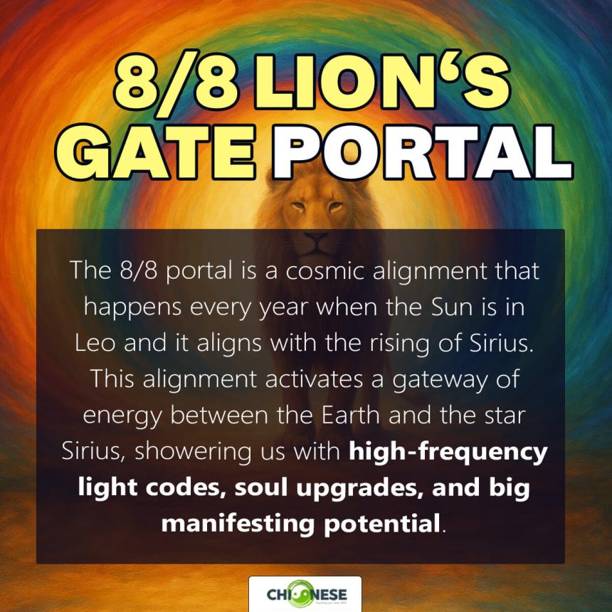 lionsgate portal