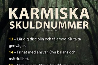 Karmiska skuldnummer