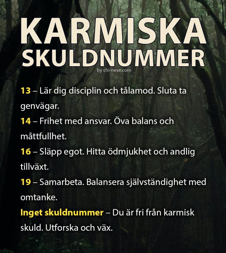 Karmiska skuldnummer