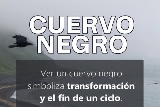 cuervo negro significado espiritual