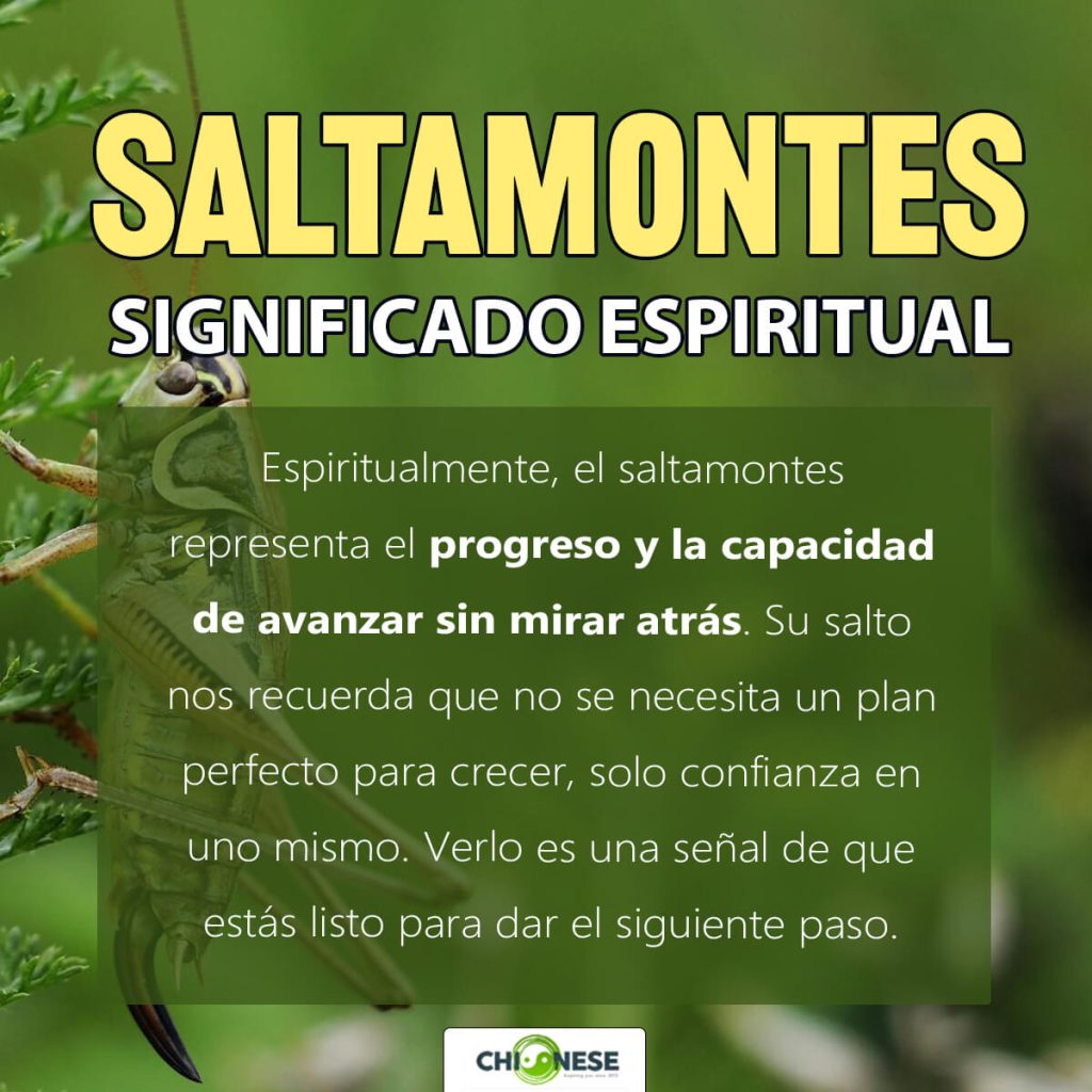 saltamontes significado espiritual