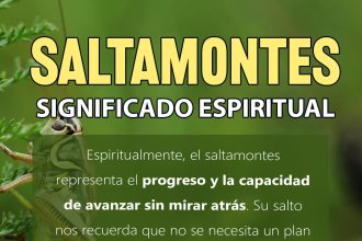 saltamontes significado espiritual