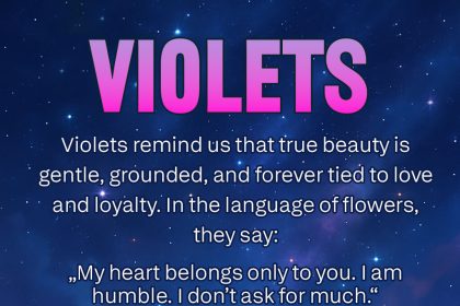 violet symbolism