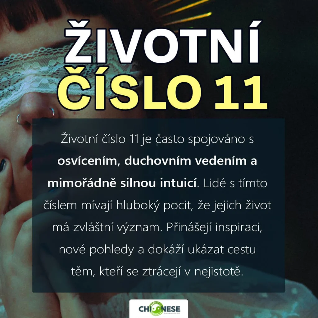 životní číslo 11