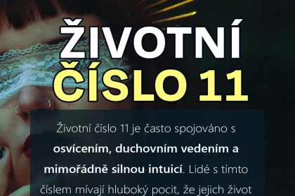 životní číslo 11