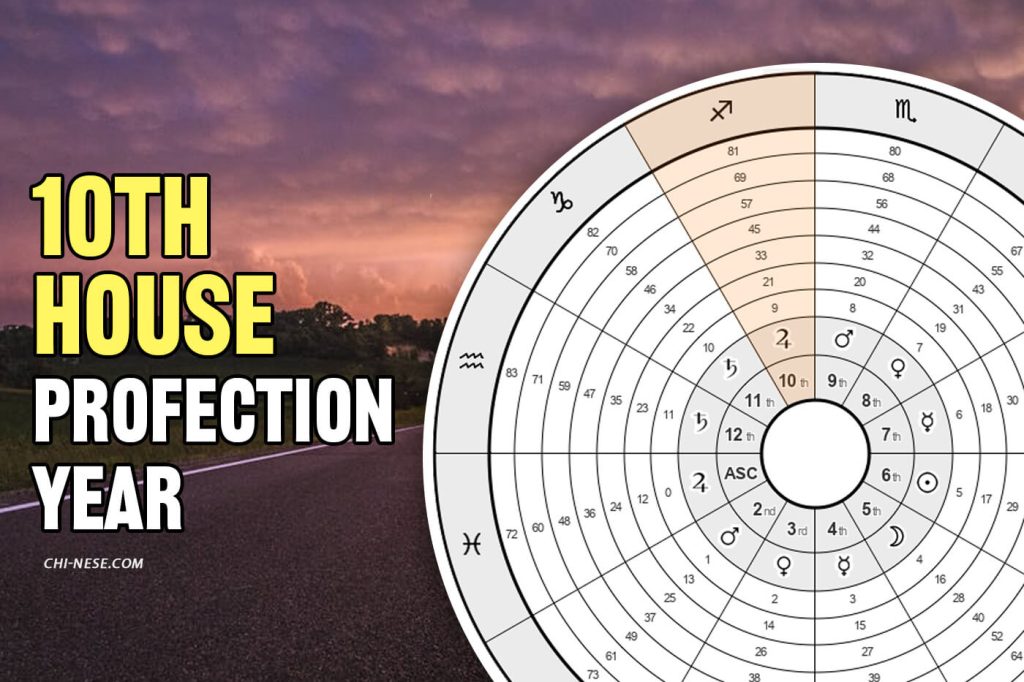 10th house profection year