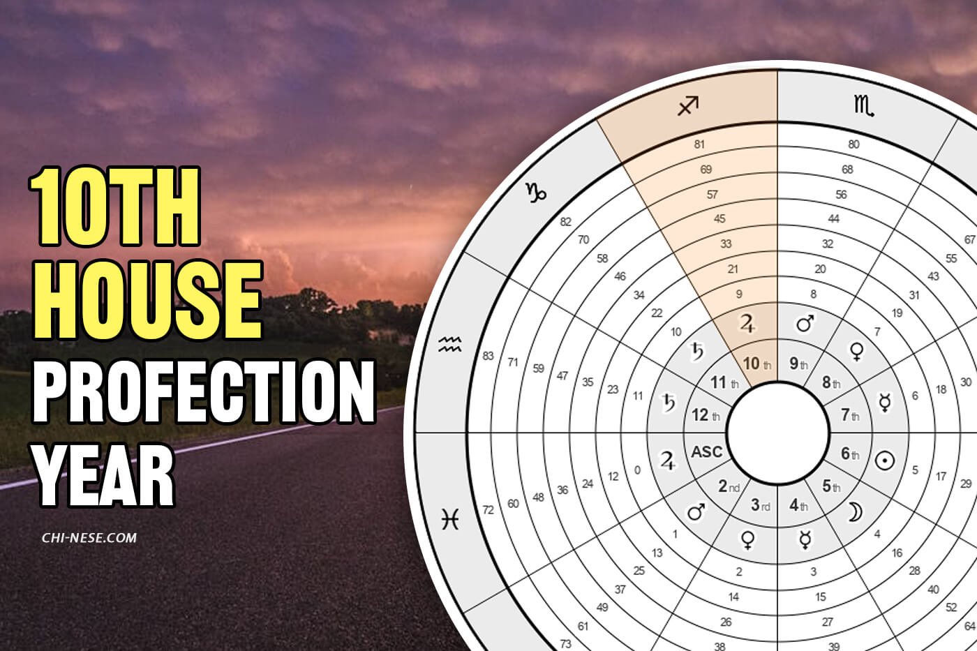 10th House Profection Year: Stepping Into Visibility and Responsibility