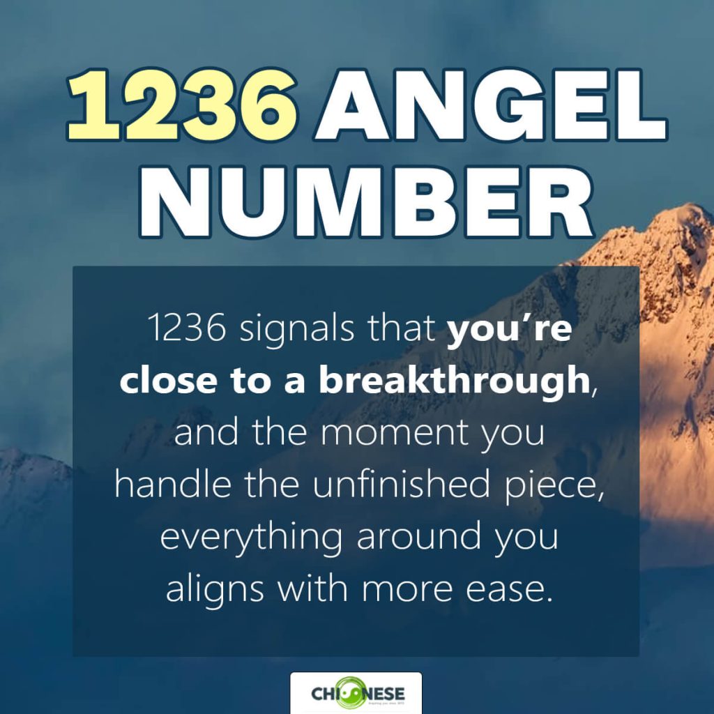 1236 angel number