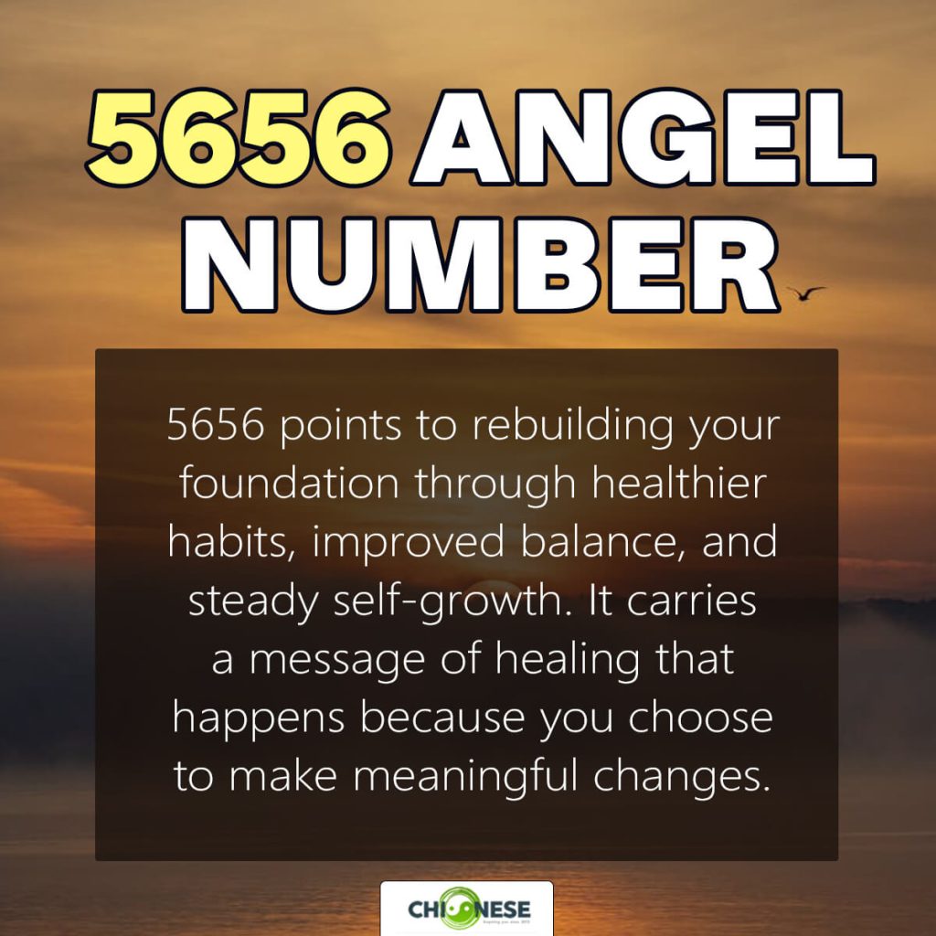 5656 angel number