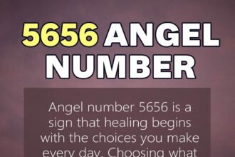 5656 angel number