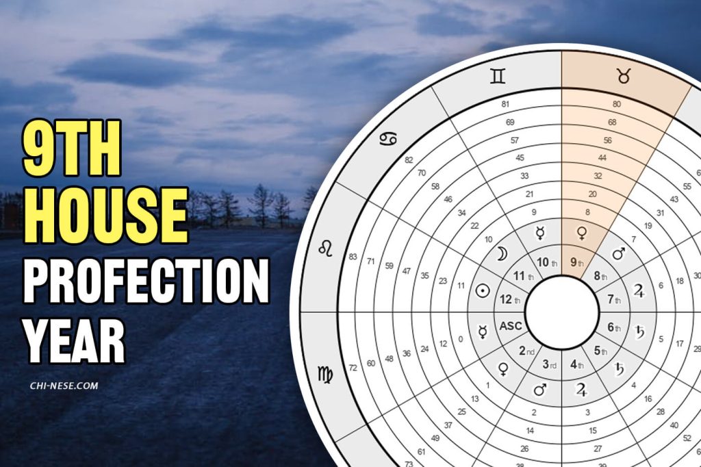 9th house profection year