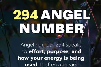294 angel number