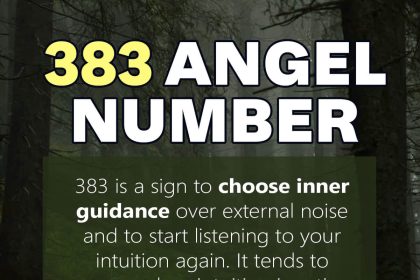 383 angel number