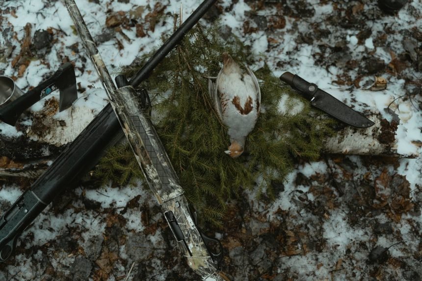 dead bird omen