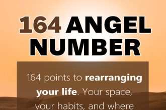 164 angel number
