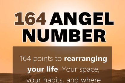 164 angel number