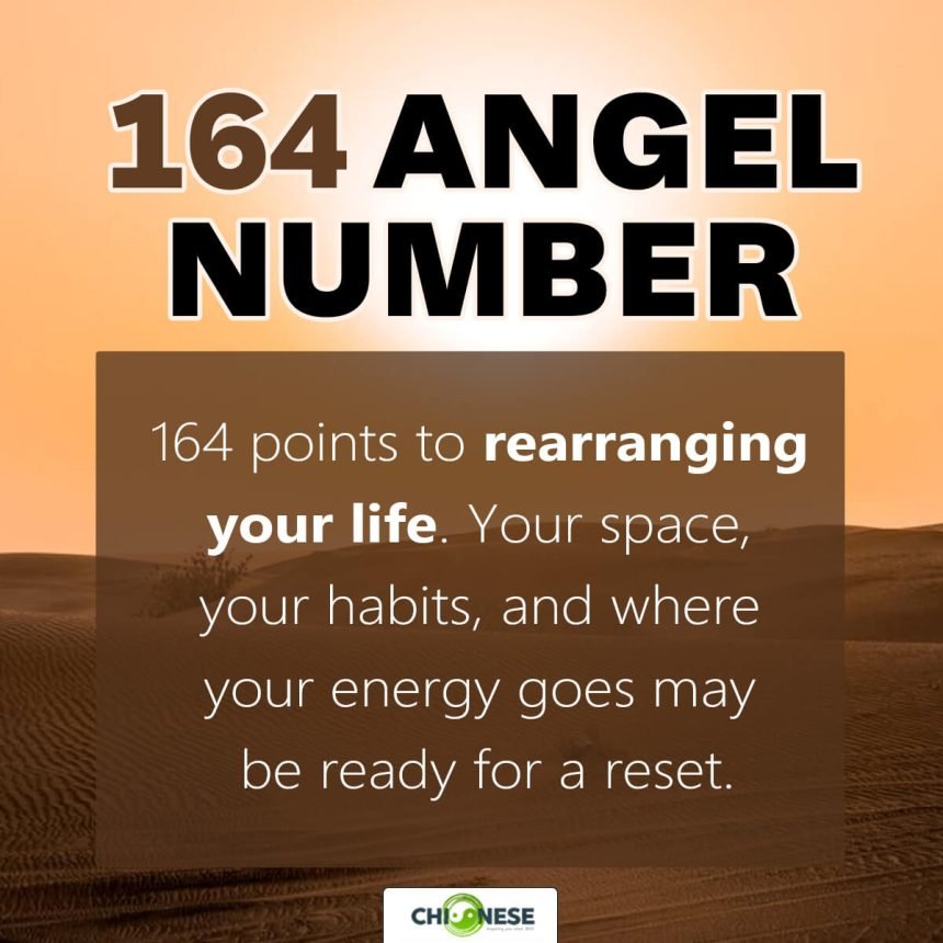 164 angel number